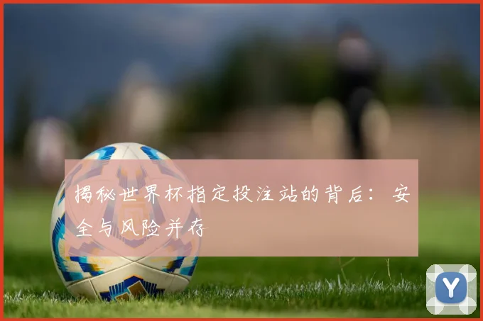 揭秘世界杯指定投注站的背后:安全与风险并存