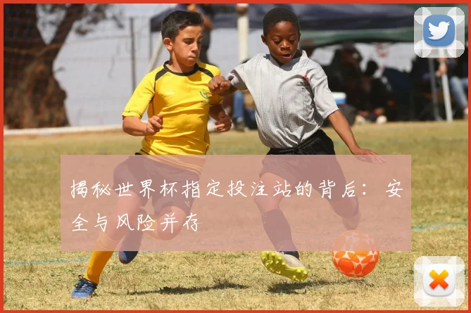 揭秘世界杯指定投注站的背后:安全与风险并存