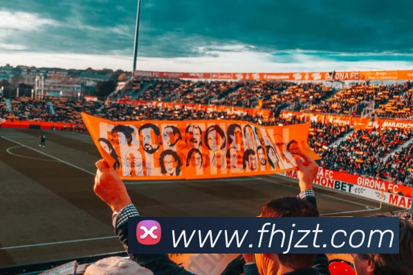 爱游戏ayx网页版登陆发展历程